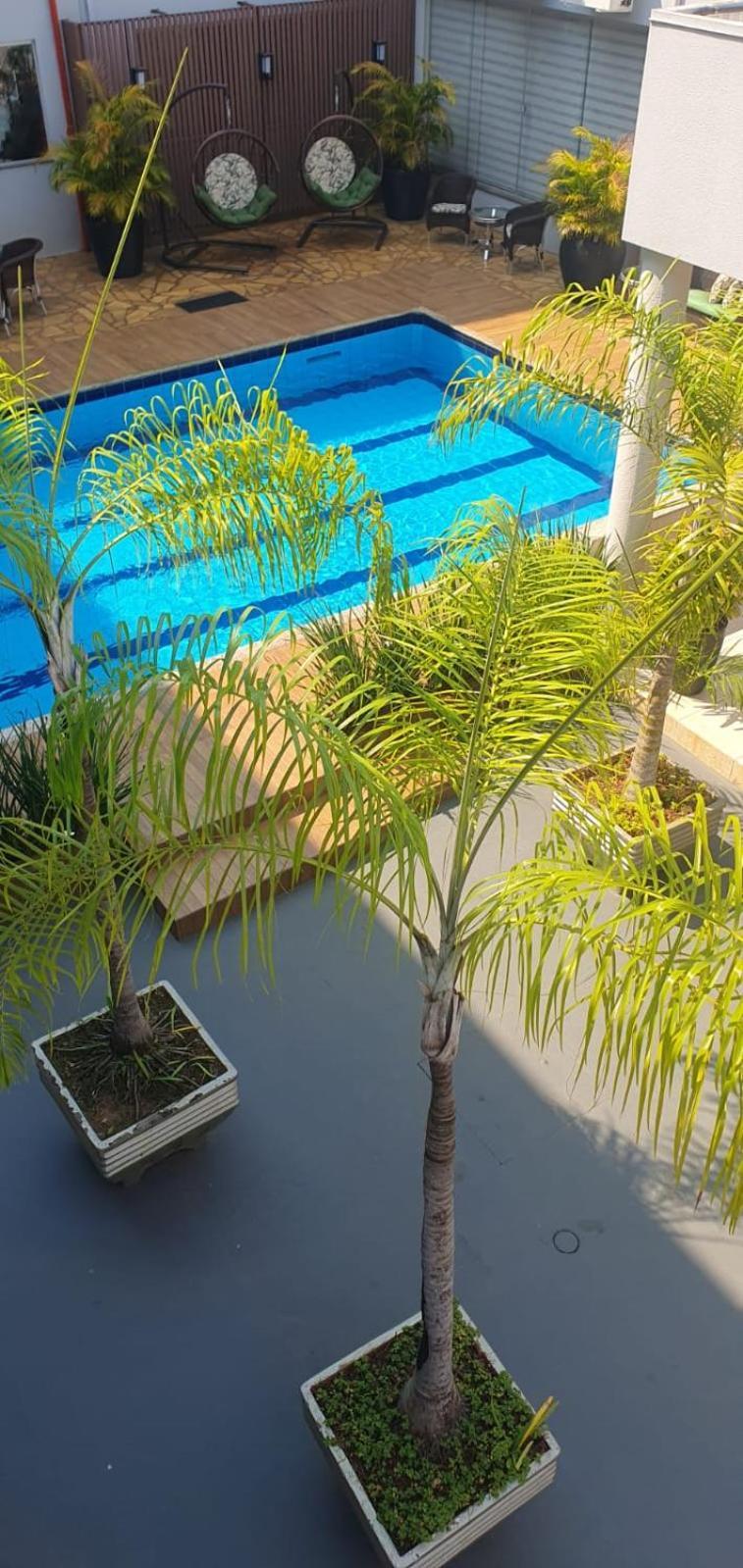 Valerius Palace Hotel Ariquemes Luaran gambar